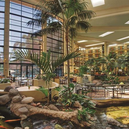 Embassy Suites By Hilton Phoenix Biltmore Ngoại thất bức ảnh